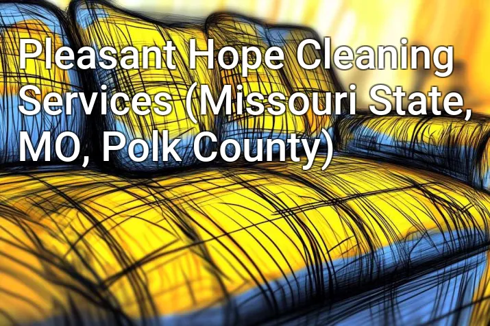 Pleasant Hope Cleaning Services (Missouri State, MO, Polk County)