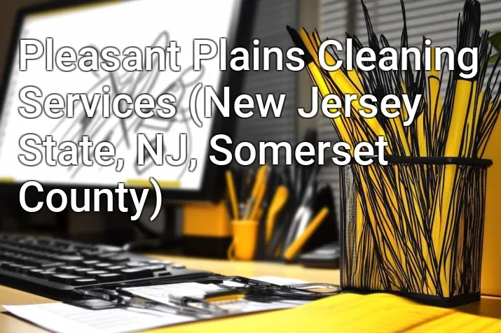 Pleasant Plains Cleaning Services (New Jersey State, NJ, Somerset County)