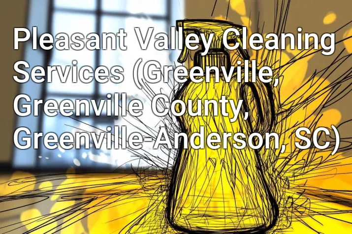 Pleasant Valley Cleaning Services (Greenville, Greenville County, Greenville-Anderson, SC)