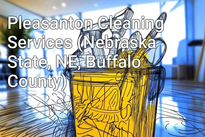Pleasanton Cleaning Services (Nebraska State, NE, Buffalo County)