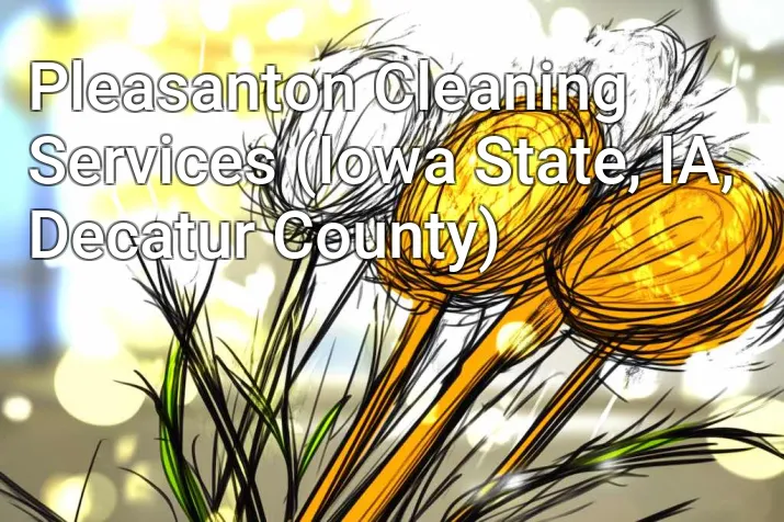 Pleasanton Cleaning Services (Iowa State, IA, Decatur County)