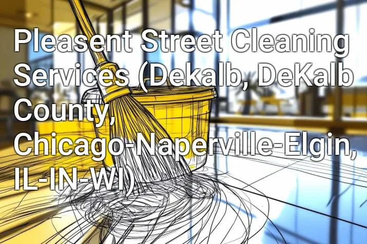 Pleasent Street Cleaning Services (Dekalb, DeKalb County, Chicago-Naperville-Elgin, IL-IN-WI)