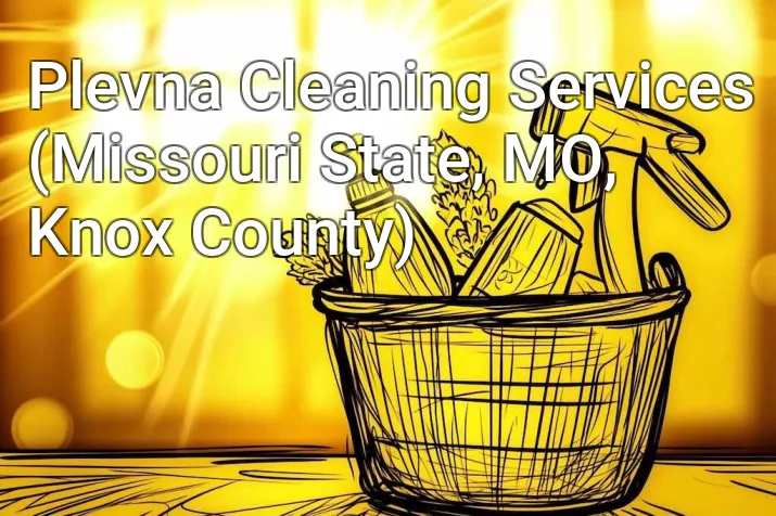 Plevna Cleaning Services (Missouri State, MO, Knox County)