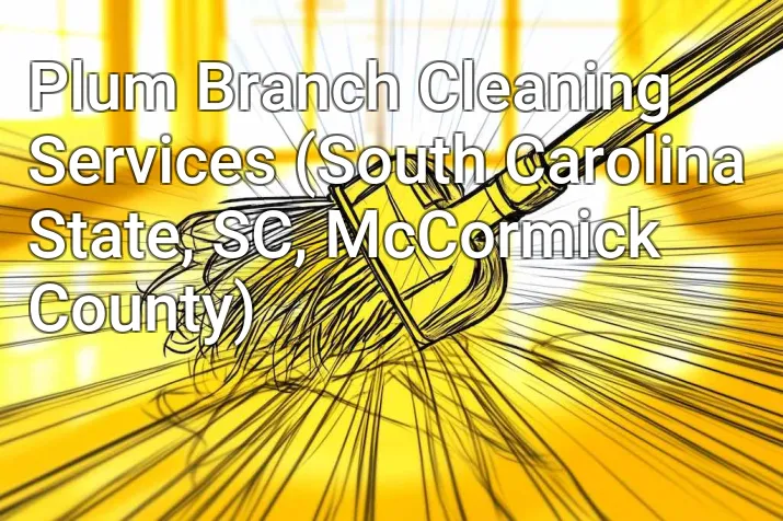 Plum Branch Cleaning Services (South Carolina State, SC, McCormick County)