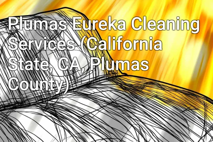 Plumas Eureka Cleaning Services (California State, CA, Plumas County)