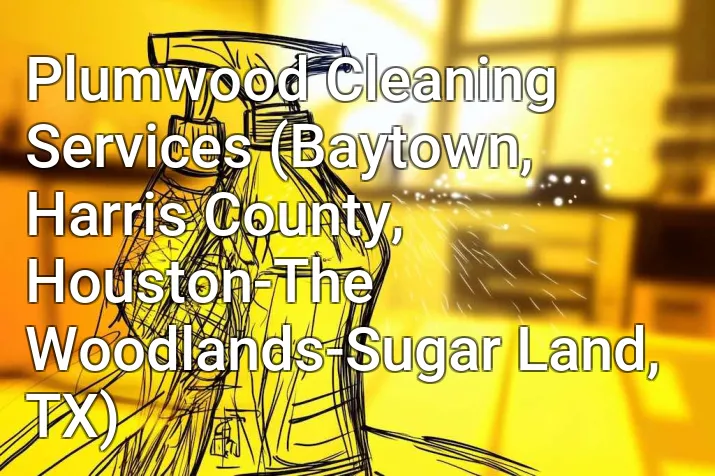 Plumwood Cleaning Services (Baytown, Harris County, Houston-The Woodlands-Sugar Land, TX)