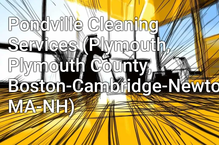 Pondville Cleaning Services (Plymouth, Plymouth County, Boston-Cambridge-Newton, MA-NH)