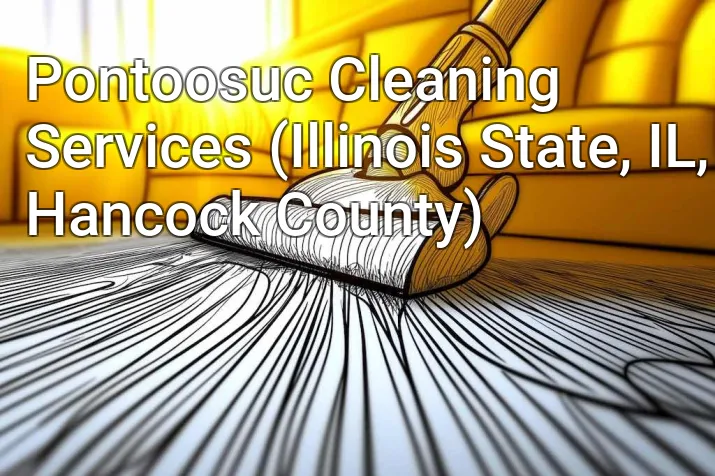 Pontoosuc Cleaning Services (Illinois State, IL, Hancock County)