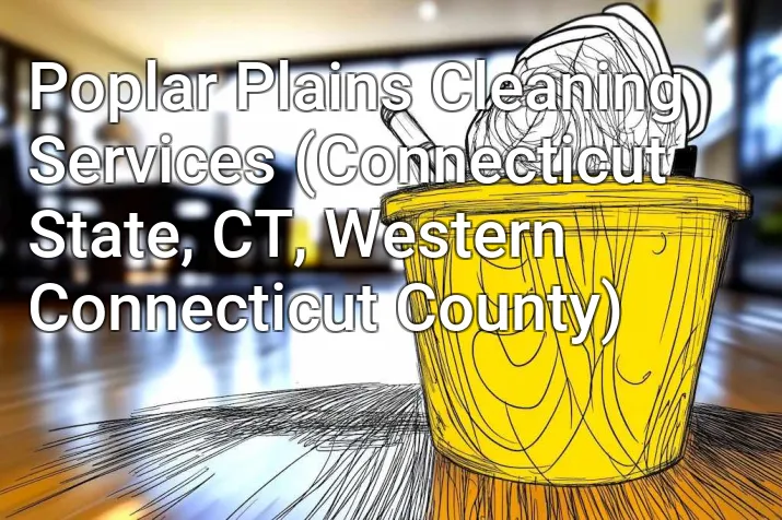 Poplar Plains Cleaning Services (Connecticut State, CT, Western Connecticut County)