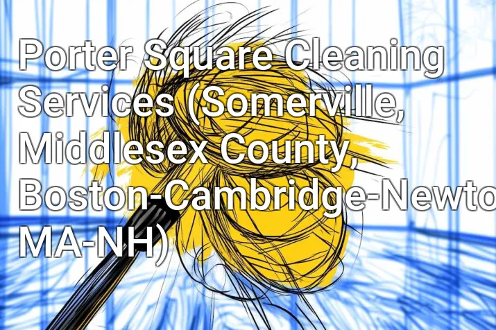 Porter Square Cleaning Services (Somerville, Middlesex County, Boston-Cambridge-Newton, MA-NH)