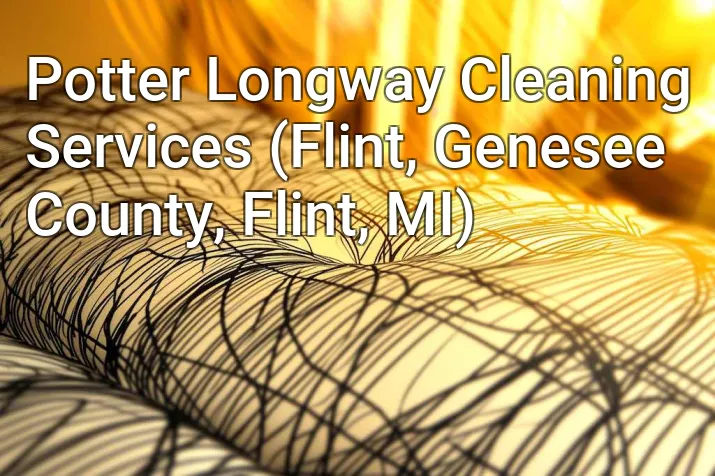 Potter Longway Cleaning Services (Flint, Genesee County, Flint, MI)