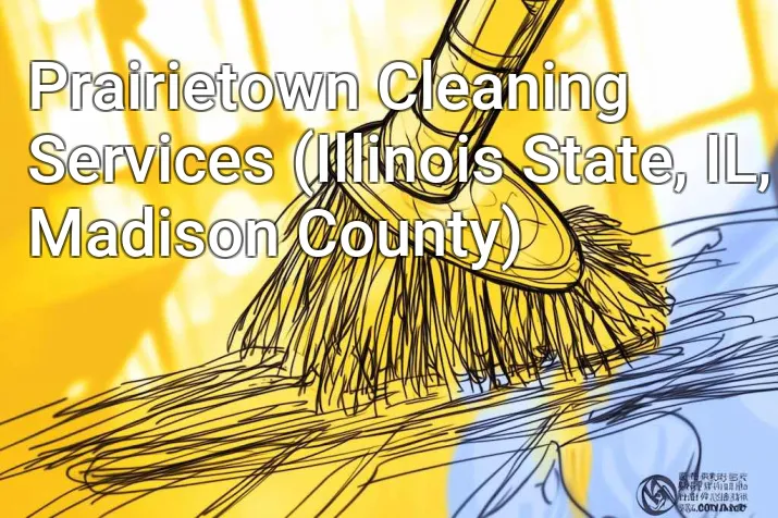 Prairietown Cleaning Services (Illinois State, IL, Madison County)
