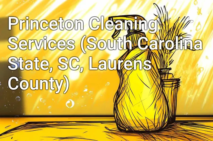 Princeton Cleaning Services (South Carolina State, SC, Laurens County)
