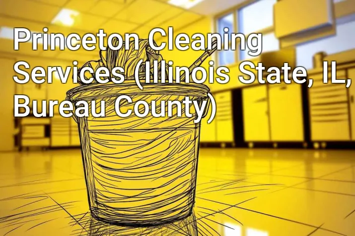 Princeton Cleaning Services (Illinois State, IL, Bureau County)