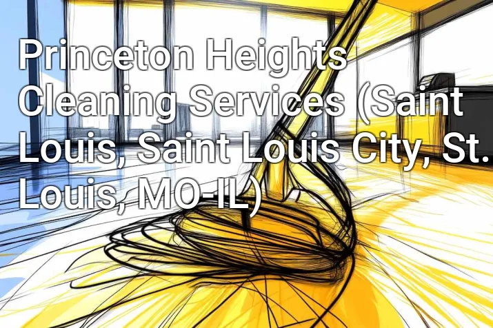 Princeton Heights Cleaning Services (Saint Louis, Saint Louis City, St. Louis, MO-IL)