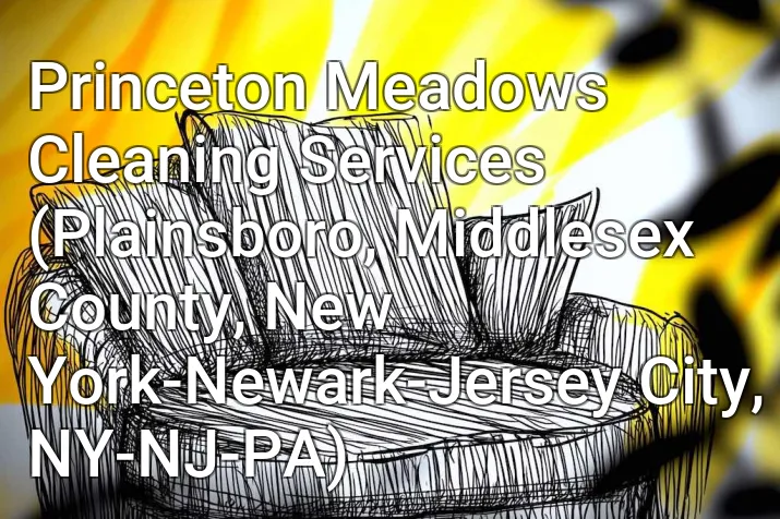Princeton Meadows Cleaning Services (Plainsboro, Middlesex County, New York-Newark-Jersey City, NY-NJ-PA)