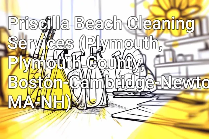 Priscilla Beach Cleaning Services (Plymouth, Plymouth County, Boston-Cambridge-Newton, MA-NH)