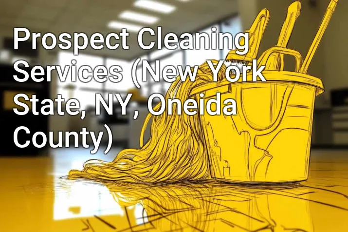 Prospect Cleaning Services (New York State, NY, Oneida County)