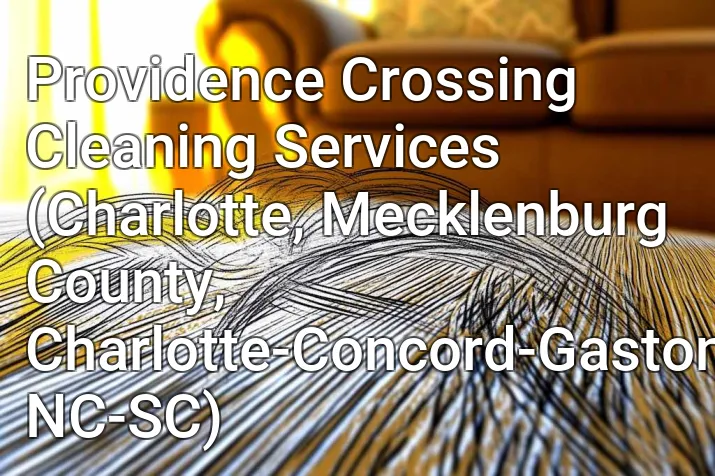 Providence Crossing Cleaning Services (Charlotte, Mecklenburg County, Charlotte-Concord-Gastonia, NC-SC)