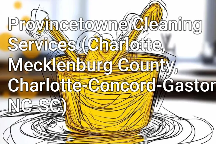Provincetowne Cleaning Services (Charlotte, Mecklenburg County, Charlotte-Concord-Gastonia, NC-SC)