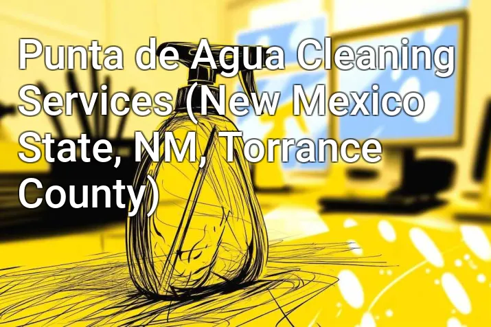 Punta de Agua Cleaning Services (New Mexico State, NM, Torrance County)