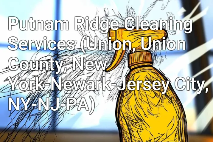 Putnam Ridge Cleaning Services (Union, Union County, New York-Newark-Jersey City, NY-NJ-PA)