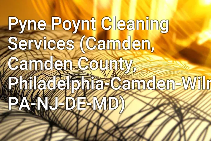 Pyne Poynt Cleaning Services (Camden, Camden County, Philadelphia-Camden-Wilmington, PA-NJ-DE-MD)