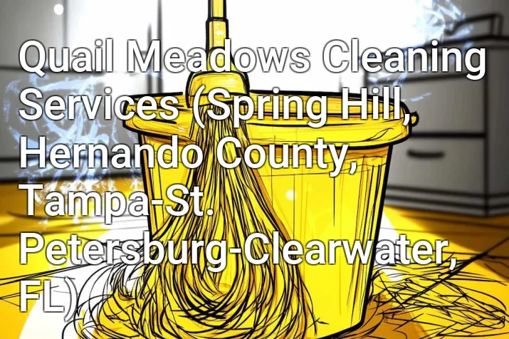 Quail Meadows Cleaning Services (Spring Hill, Hernando County, Tampa-St. Petersburg-Clearwater, FL)