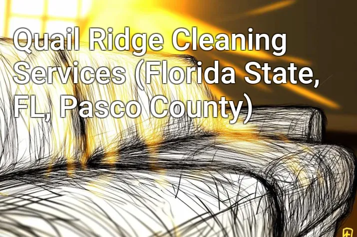 Quail Ridge Cleaning Services (Florida State, FL, Pasco County)