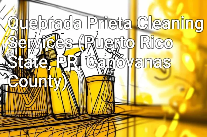 Quebrada Prieta Cleaning Services (Puerto Rico State, PR, Canóvanas County)