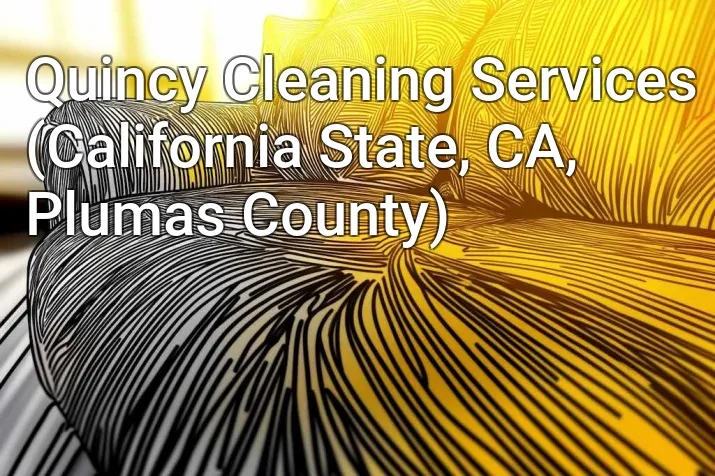 Quincy Cleaning Services (California State, CA, Plumas County)