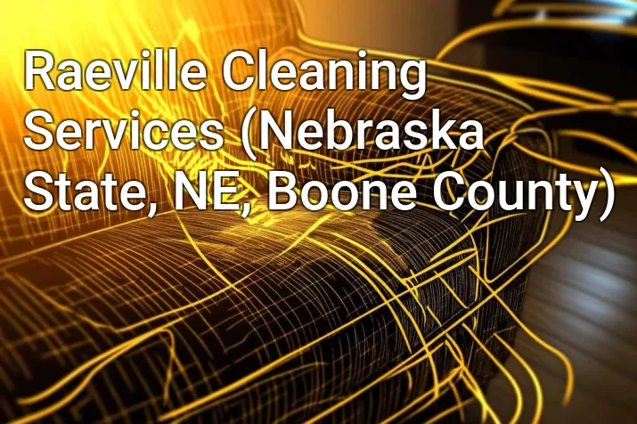 Raeville Cleaning Services (Nebraska State, NE, Boone County)