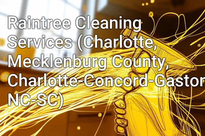 Raintree Cleaning Services (Charlotte, Mecklenburg County, Charlotte-Concord-Gastonia, NC-SC)