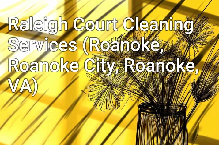 Raleigh Court Cleaning Services (Roanoke, Roanoke City, Roanoke, VA)