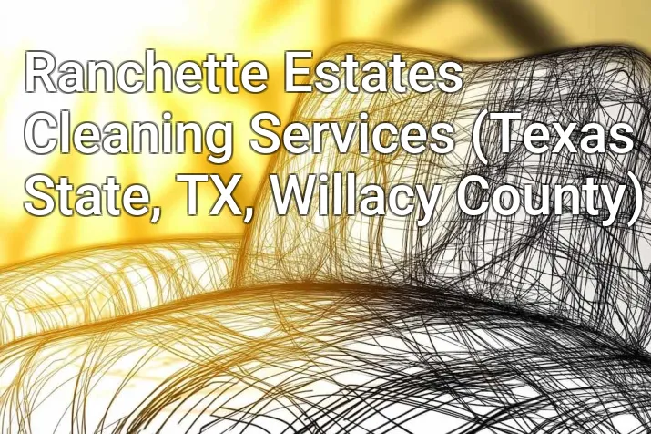 Ranchette Estates Cleaning Services (Texas State, TX, Willacy County)
