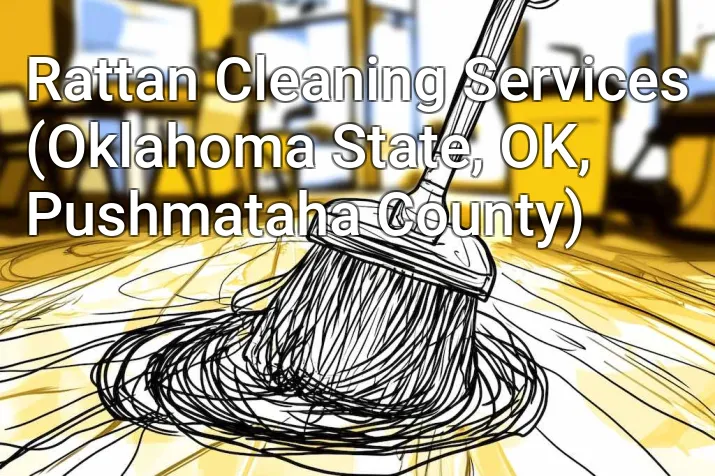 Rattan Cleaning Services (Oklahoma State, OK, Pushmataha County)