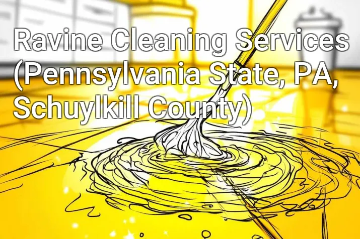 Ravine Cleaning Services (Pennsylvania State, PA, Schuylkill County)