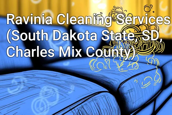 Ravinia Cleaning Services (South Dakota State, SD, Charles Mix County)