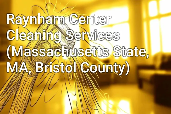 Raynham Center Cleaning Services (Massachusetts State, MA, Bristol County)