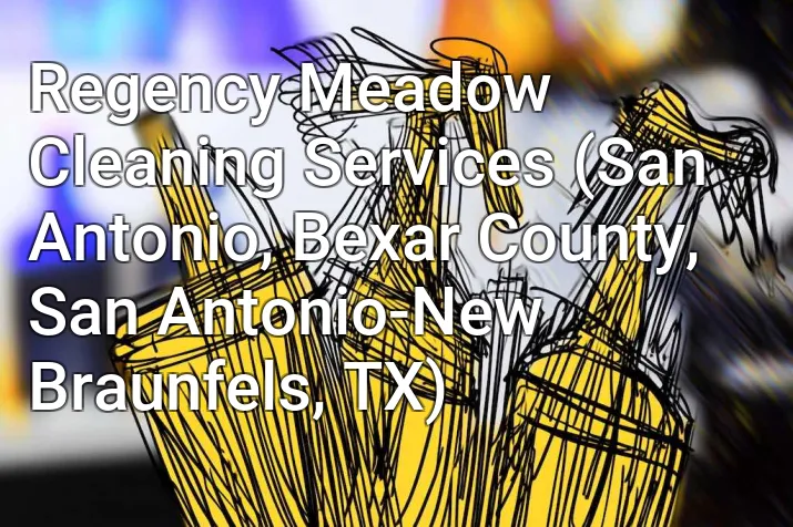 Regency Meadow Cleaning Services (San Antonio, Bexar County, San Antonio-New Braunfels, TX)