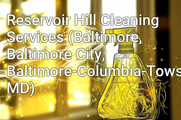 Reservoir Hill Cleaning Services (Baltimore, Baltimore City, Baltimore-Columbia-Towson, MD)