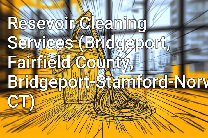 Resevoir Cleaning Services (Bridgeport, Fairfield County, Bridgeport-Stamford-Norwalk, CT)