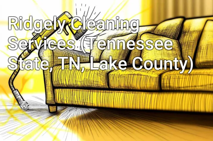 Ridgely Cleaning Services (Tennessee State, TN, Lake County)