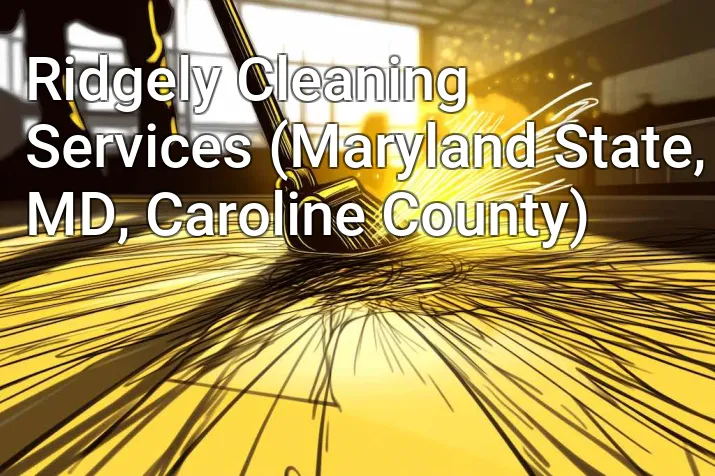 Ridgely Cleaning Services (Maryland State, MD, Caroline County)