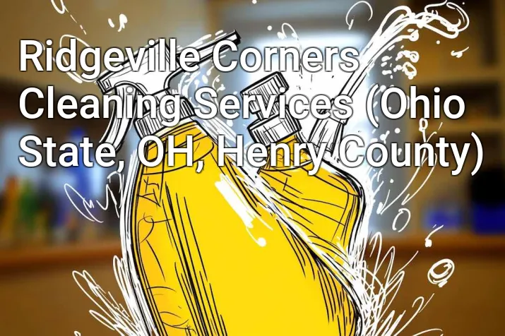 Ridgeville Corners Cleaning Services (Ohio State, OH, Henry County)