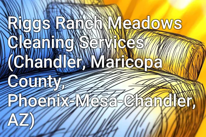 Riggs Ranch Meadows Cleaning Services (Chandler, Maricopa County, Phoenix-Mesa-Chandler, AZ)