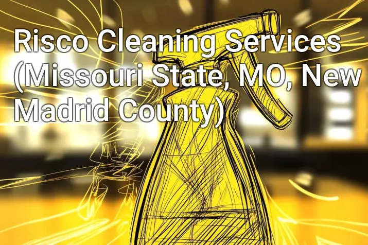 Risco Cleaning Services (Missouri State, MO, New Madrid County)