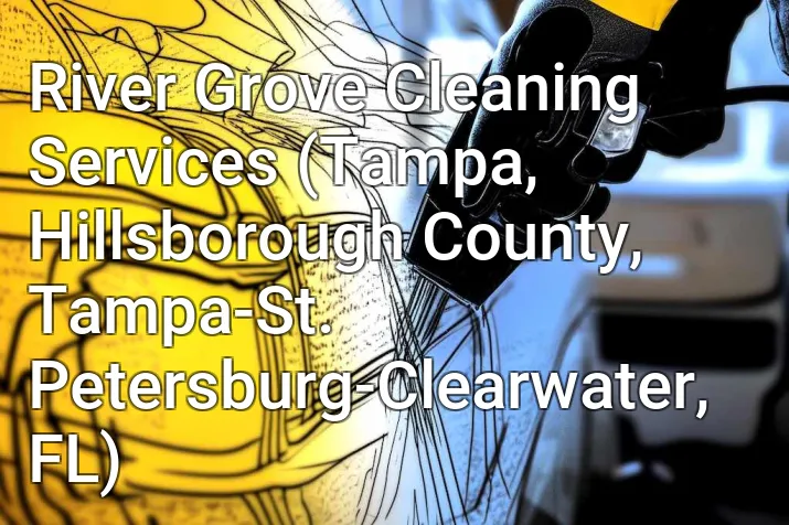 River Grove Cleaning Services (Tampa, Hillsborough County, Tampa-St. Petersburg-Clearwater, FL)