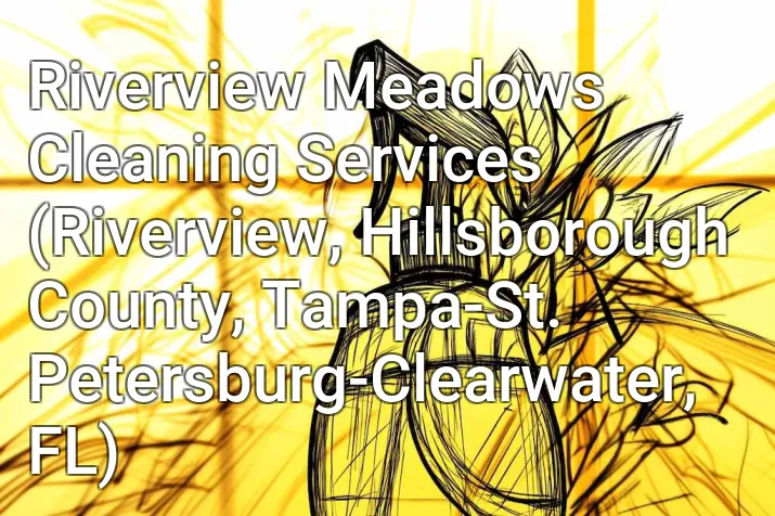 Riverview Meadows Cleaning Services (Riverview, Hillsborough County, Tampa-St. Petersburg-Clearwater, FL)