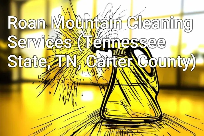 Roan Mountain Cleaning Services (Tennessee State, TN, Carter County)